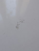Anonymous review photo