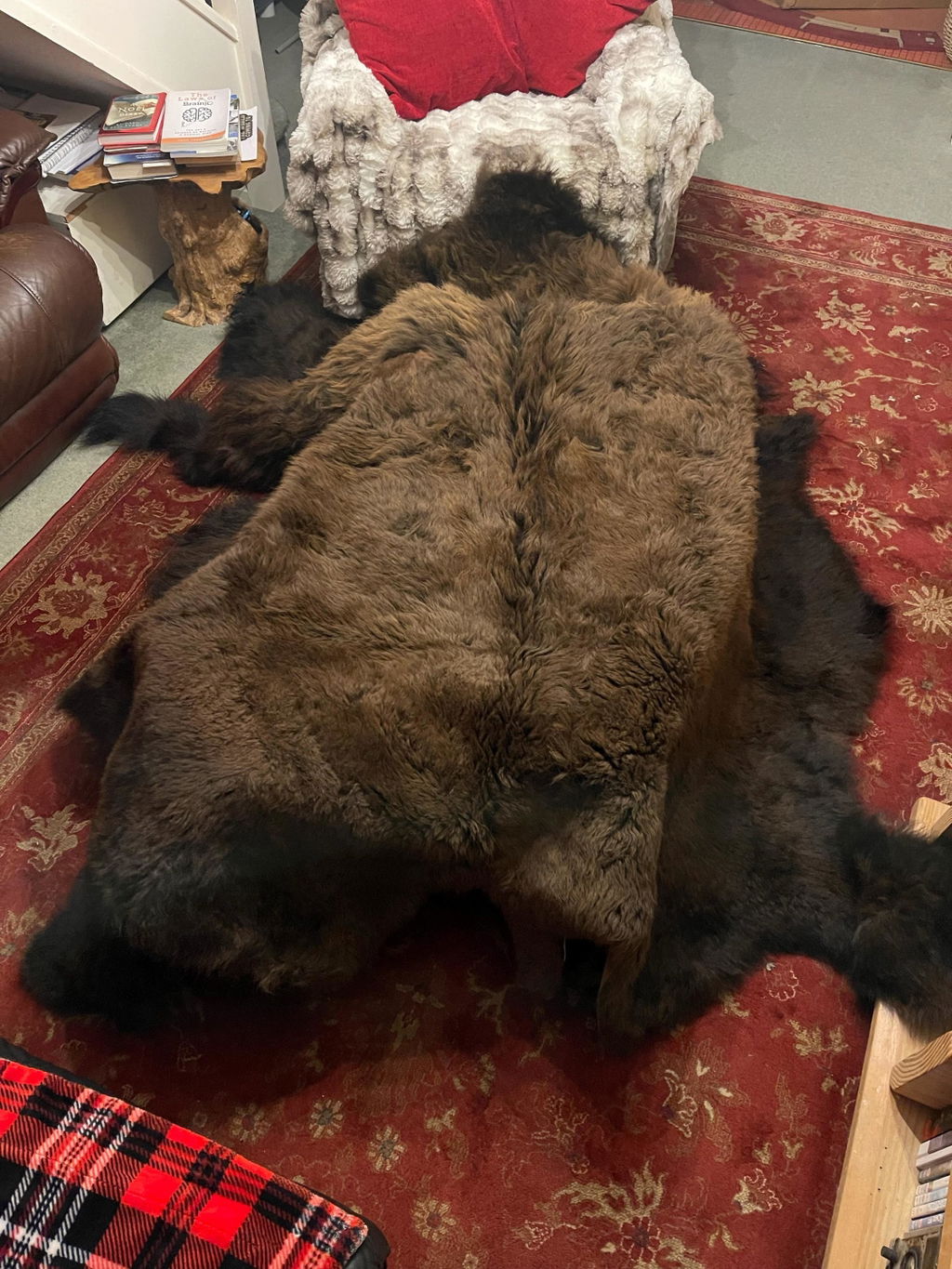 Bison Hide Rug | First-Grade Hair-On – Natural American Buffalo