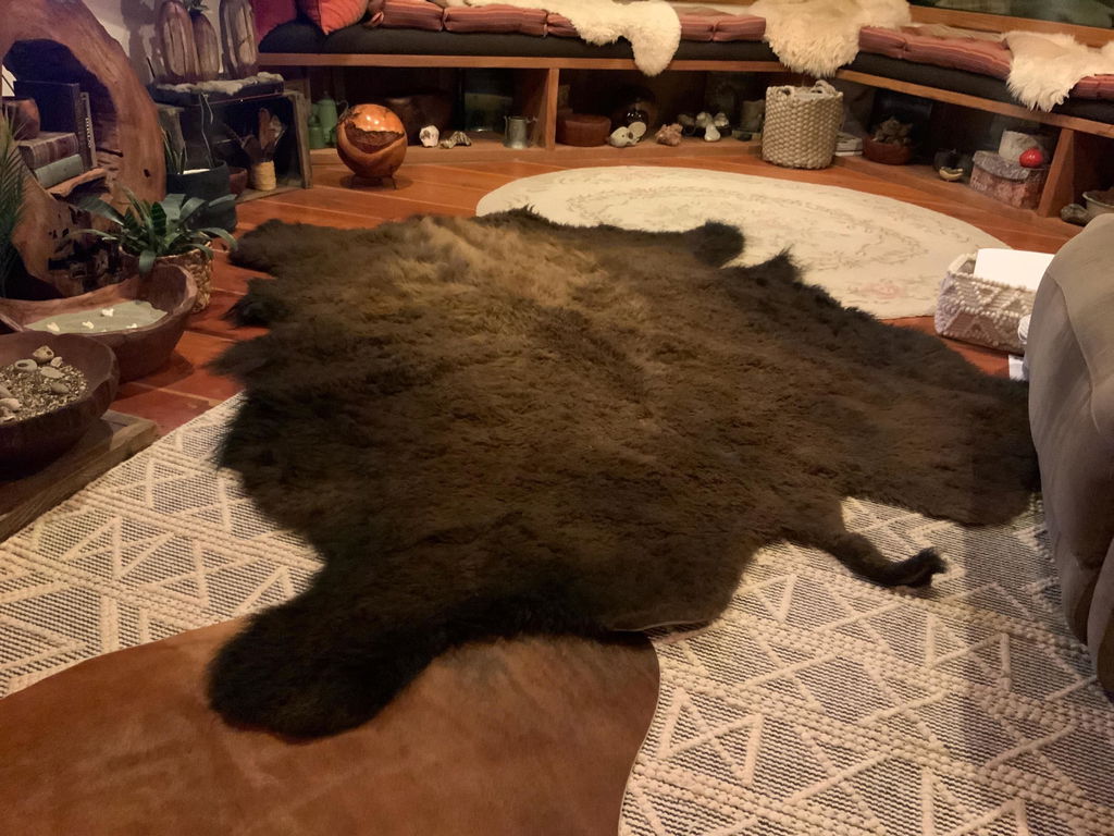 Bison Hide Rug | First-Grade Hair-On – Natural American Buffalo