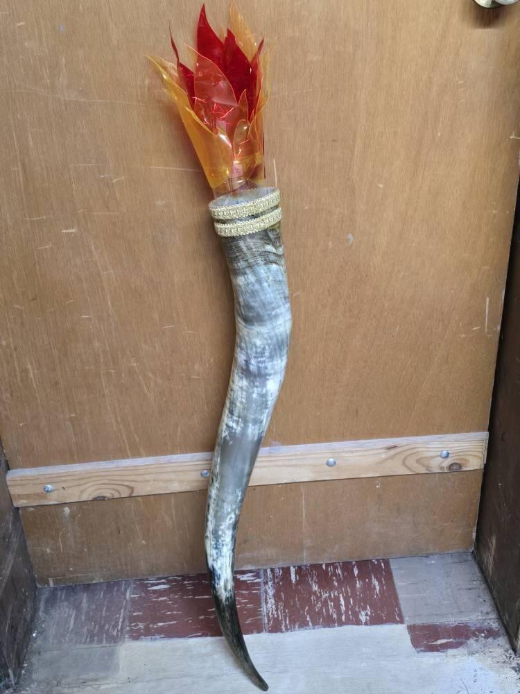 Natural Unpolished Longhorn | Raw Display Horn - 24 to 30 Inches