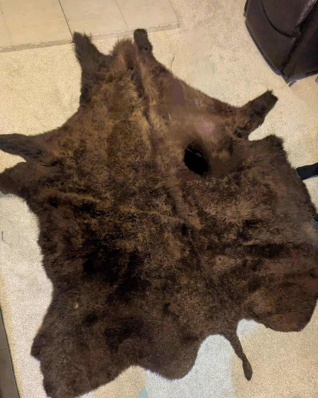 Bison Hide Rug | First-Grade Hair-On – Natural American Buffalo
