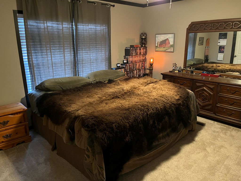 Bison Hide Rug | First-Grade Hair-On – Natural American Buffalo