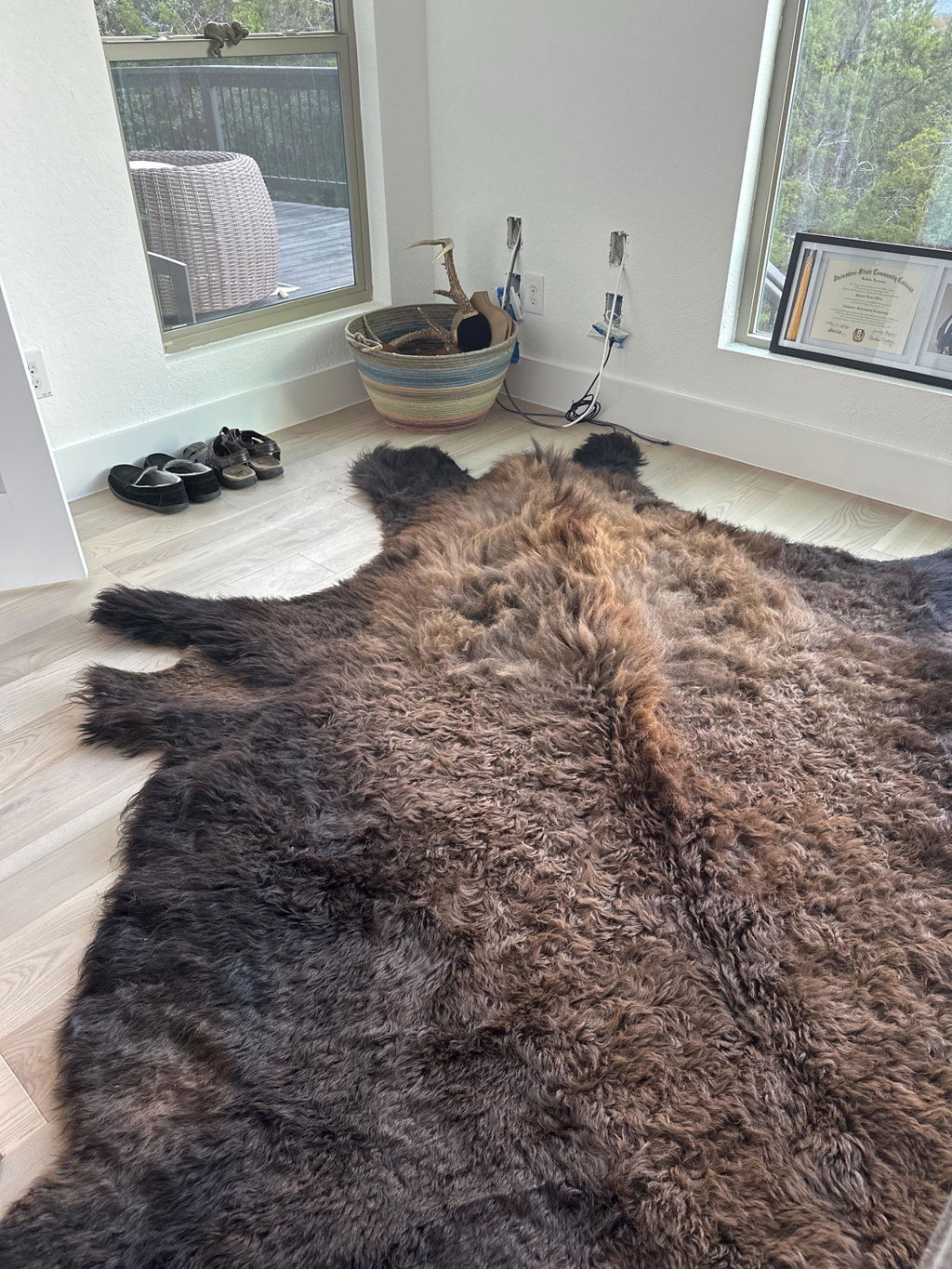 Bison Hide Rug | First-Grade Hair-On – Natural American Buffalo