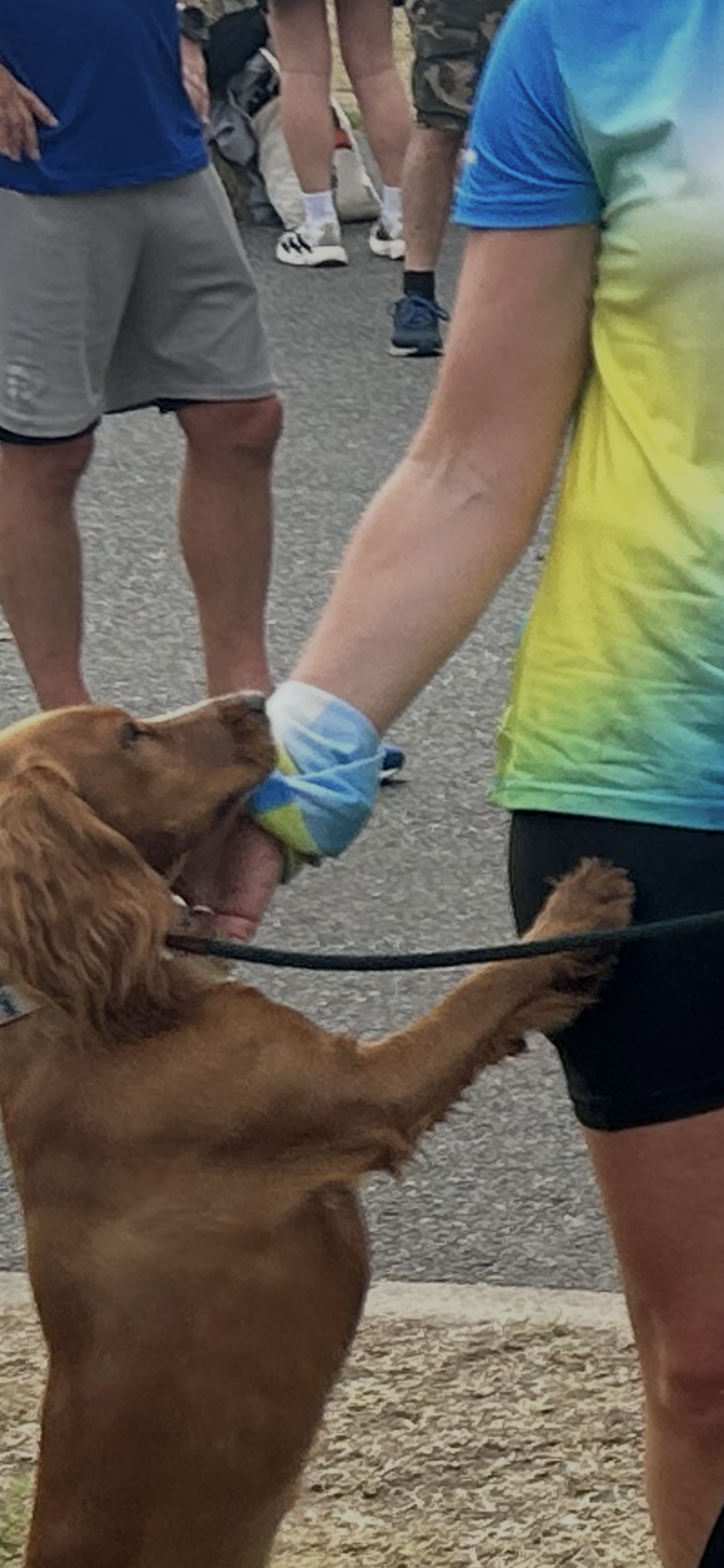 Terra Bluefish Trail Running Snood