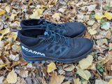 Piotr review photo