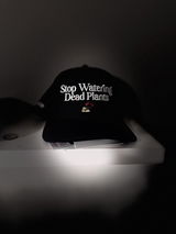 Stop Watering Dead Plants | Black Snapback