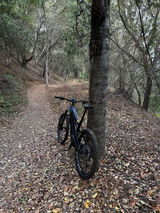 Glen R. review photo