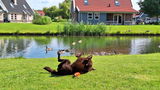 Bets Verbrugge review photo