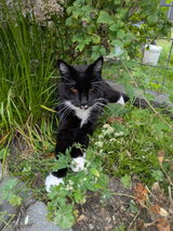 Dianne Witteveen review photo