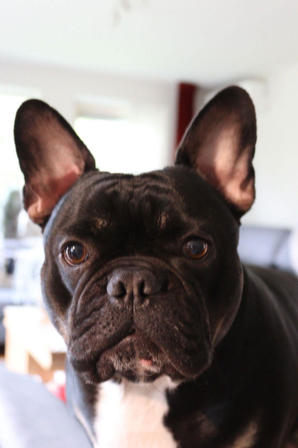 Wondgel