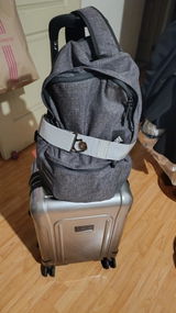 appletree review photo