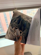 Massiel review photo