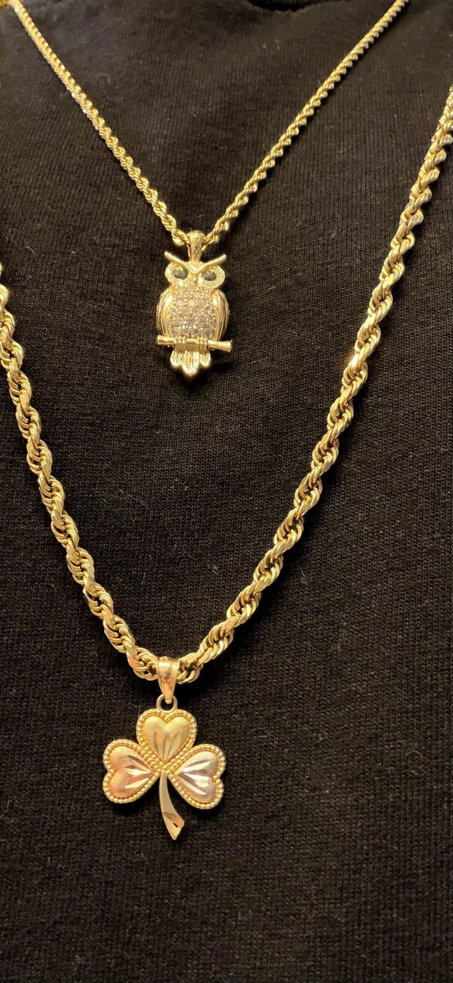 Photo from Stephen d.'s review of the 14K Gold Sapphire-Eyed Owl Diamond Pendant 70769