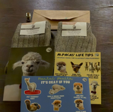 Ben Jamin review photo