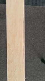Josie S. review photo