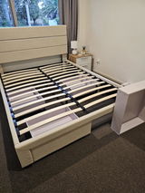 Struthless review photo