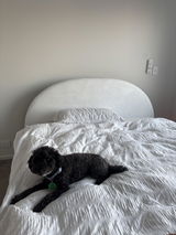 Anonymous review photo