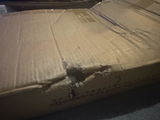 Darnell S. review photo