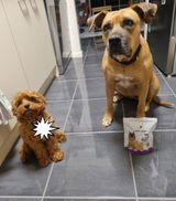 Sammie review photo