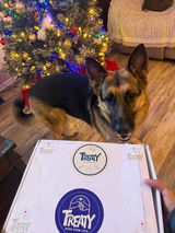 Daisy review photo