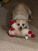 Samuel C review photo