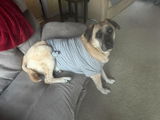 Heidie S review photo
