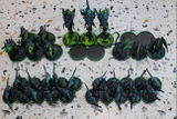 Fern review photo
