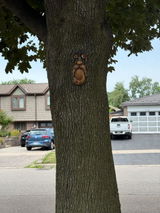 Etsy customer review photo