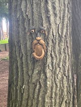 Etsy customer review photo