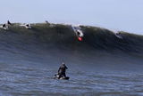 Cold-Cool 12 Pack (Petroleum-Free Surf Wax)