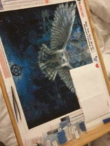 Aurore P. review photo