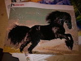 frederique p. review photo