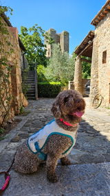 Nuria review photo