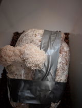Marsel R. review photo