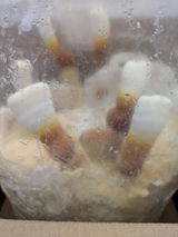 Bojan V. review photo