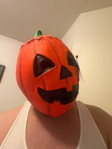 Pedro review photo