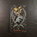 Nick P. review photo