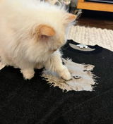 ねこのはんぺん review photo