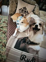 牧山大志 review photo