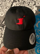 lasana scott review photo