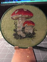 Betsy F review photo