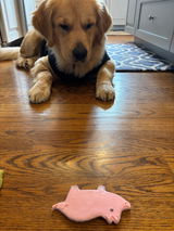 Bekki Gredinger Vitale review photo