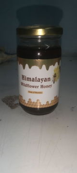 Anshul Bisht review photo