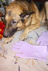 Arun das review photo