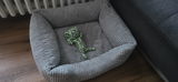 Nicole S. review photo