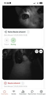 Ralf review photo