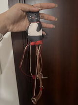 Anonymous b. review photo
