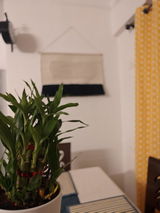 Samikhya Samal review photo