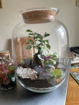 Marilyn W. review photo