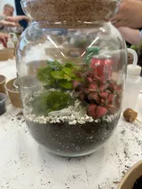 Terrarium Workshop - Various Dates 2026